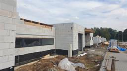 Project